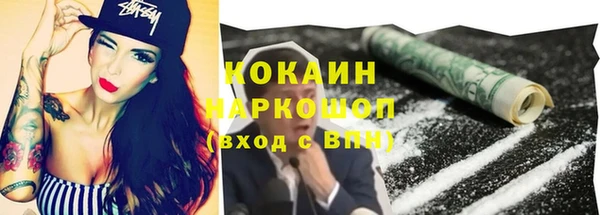 стафф Каменка