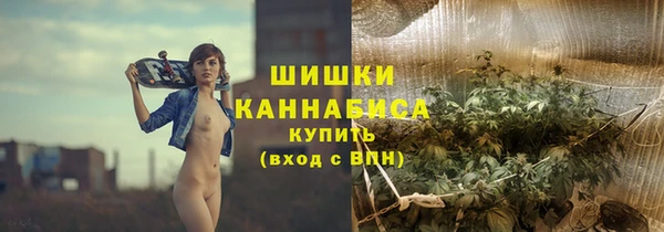 стафф Каменка