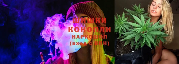 стафф Каменка