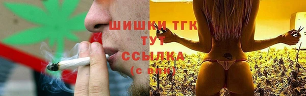 стафф Каменка