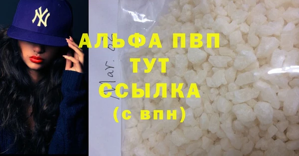 стафф Каменка