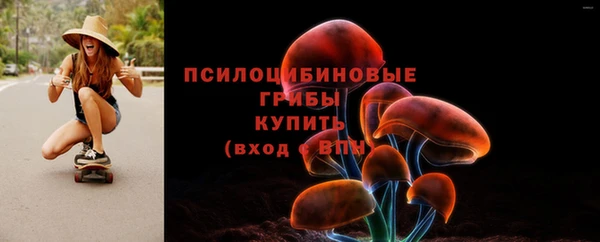 синтетический гашиш Каменск-Шахтинский