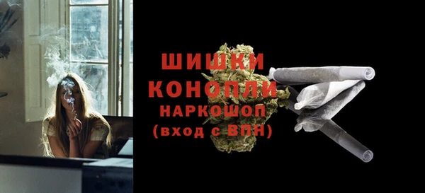 стафф Каменка