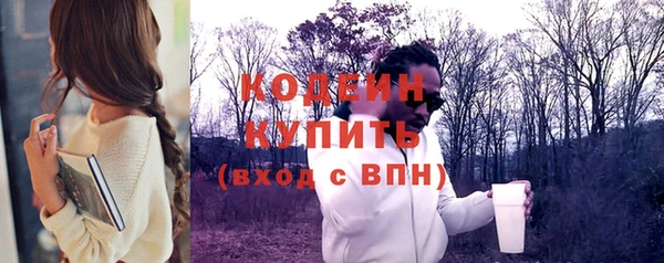 стафф Каменка