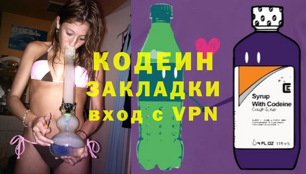 стафф Каменка